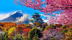 Osaka Castle And Fuji Mountain Wallpaper