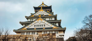 Osaka Castle Close-up Shot Wallpaper