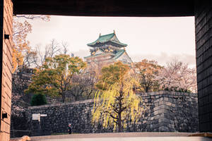 Osaka Castle Museum Wallpaper