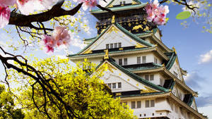 Osaka Castle Wallpaper
