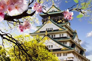 Osaka Japanese Castle Wallpaper