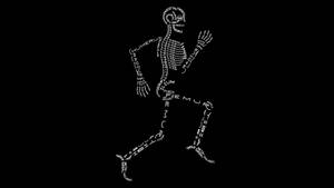 Osteology Skeleton Desktop Wallpaper