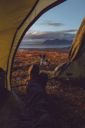 Outdoor Camping With Chill Iphone Wallpaper