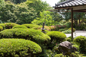 Outdoor Japanese Garden Wallpaper