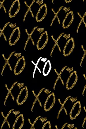 Ovoxo Logo Wallpaper