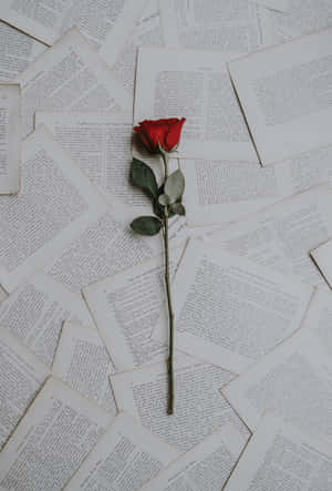 Pages Of Poems With Rose Wallpaper