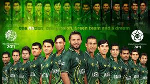 Pakistan Cricket 2011 Team Lineup Wallpaper