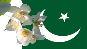 Pakistan Logo With Flowers Wallpaper
