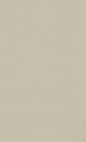 Pale Aesthetic Beige Wallpaper