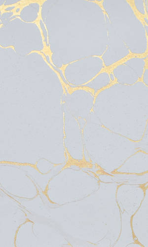 Pale Blue Gold Marble Wallpaper