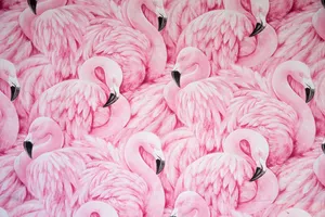 Pale Pink Flamingo Pattern Wallpaper