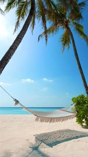 Palm Beach White Hammock Wallpaper