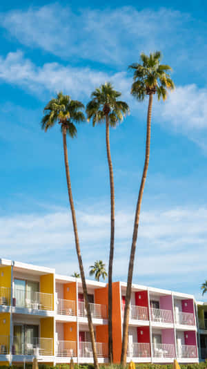 Palm Springs Colorful Hotel Wallpaper