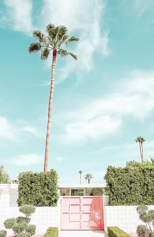 Palm Springs Pink Gate Wallpaper