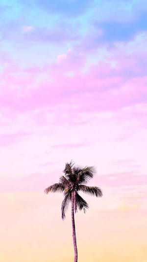 Palm Tree Colorful Pastel Background Wallpaper