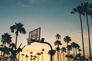 Palm Tree Sunset Basketball Hoop Wallpaper
