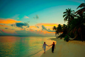 Palm Tree Sunset Couple Wallpaper