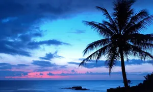 Palm Tree With A Blue And Purple Sunset Wallpaper