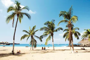 Palm Trees In Cape Verde Beach Wallpaper