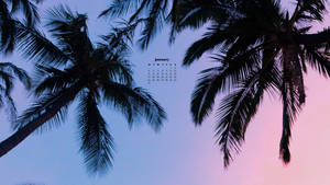 Palm Trees January 2022 Calendar Wallpaper