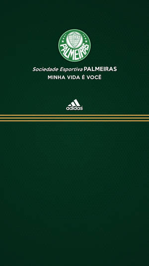 Palmeiras And Adidas Wallpaper