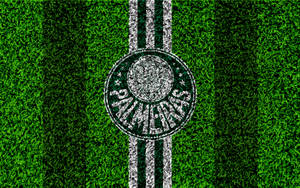 Palmeiras Grass Wallpaper