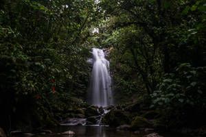 Panama Falls Wallpaper