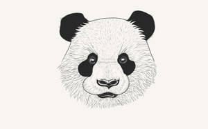Panda Head Drawing Wallpaper