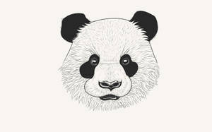 Panda Head Drawing