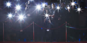 Paparazzi Red Carpet Wallpaper