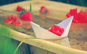 Paper Boat On A Tub Wallpaper