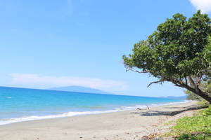 Papua New Guinea Beach Shore Wallpaper