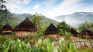 Papua New Guinea Huts Wallpaper