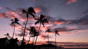 Paradise Awaits In Aesthetic Hawaii Wallpaper