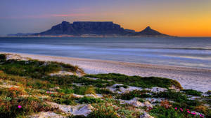 Paradise Beach In South Africa Wallpaper