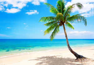 Paradise Found: A Majestic Tropical Island Scene Wallpaper