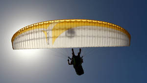 Paragliding On Bright Sunny Day Wallpaper