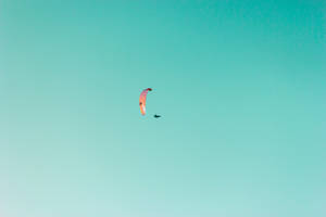 Paragliding Pink Fabric Wing Wallpaper