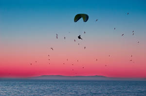 Paragliding With Sunset View Wallpaper