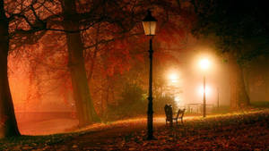 Park At Night During Autumn Macbook Wallpaper