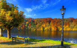 Park Bench Along The Riverside Wallpaper