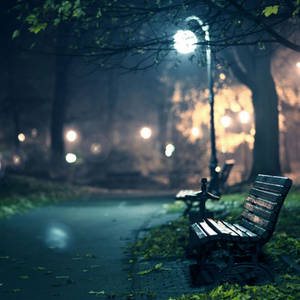 Park Bench Dim Wallpaper