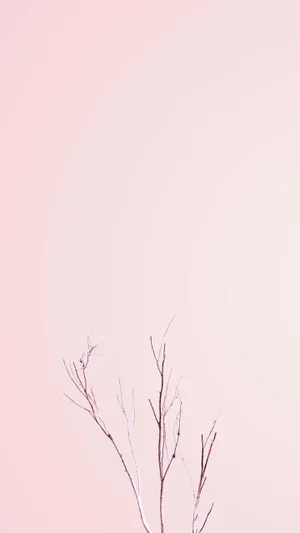 Pastel Iphone Pink Bare Plant Wallpaper