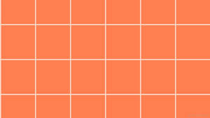 Pastel Orange Aesthetic Gridline Wallpaper