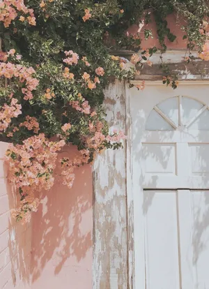 Pastel Phone Pink Flowers Wallpaper