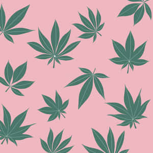 Pastel Pink Marijuana Leaves Wallpaper