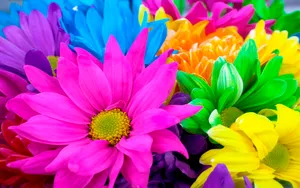 Patch Colorful Daisies Wallpaper