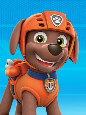 Paw Patrol The Movie Zuma Wallpaper