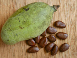 Pawpaw Fruit With Its Dry Seeds Wallpaper