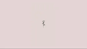 Pc Designed To Honor Modern And Simple Aesthetic Wallpaper